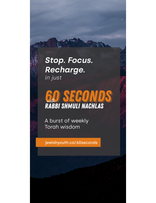 Program Launch Social Post + Story