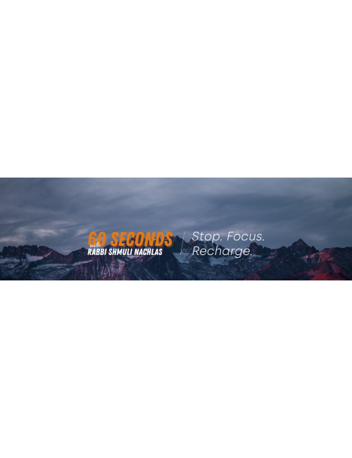 Program Launch Web Banner