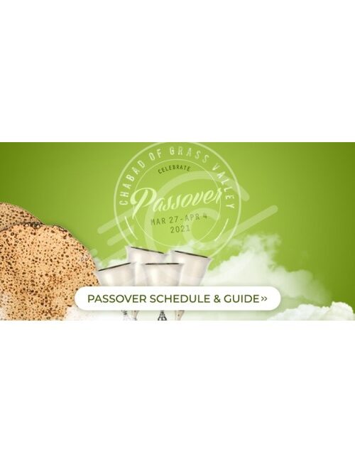 Pesach Web Banner (template5)