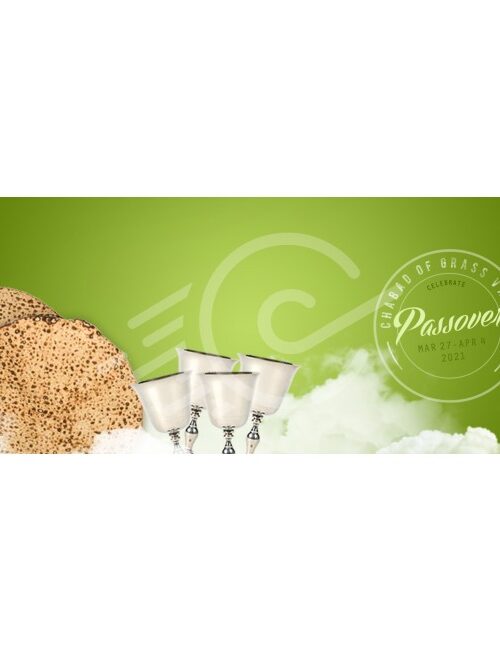 Pesach Web Banner (template6)
