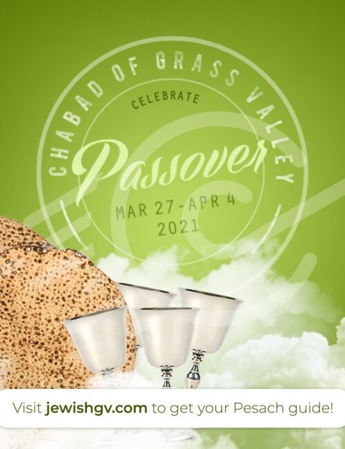 Pesach Social Media Post