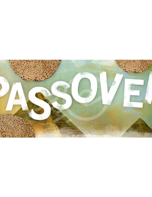 Pesach Web Banner (template6)
