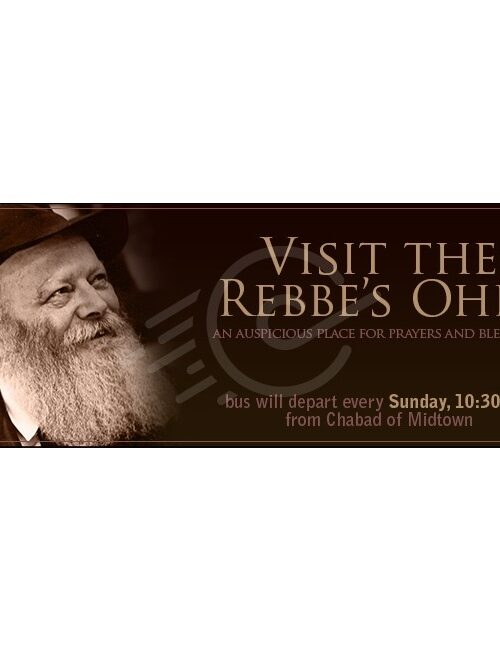 Trip to Ohel Web Banner 3