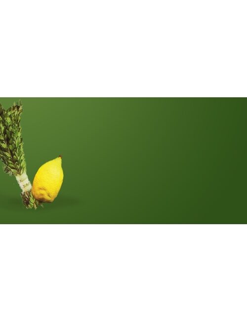 Sukkos Web Banner - Template 6